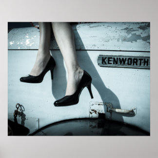 ニードルノースとスティレット ポスター