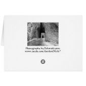 ニードルハイウェイトンネル (裏面横)