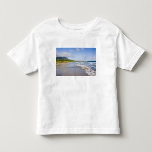 ニービス島のウィンドワードビーチ トドラーTシャツ (正面)
