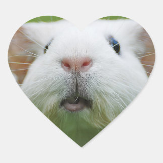 ニーブラーのシール ハートシール