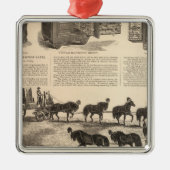 ニーリングの特許チャンピオンセーフ メタルオーナメント (正面)