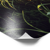 ニールのタルトグラス草原に黒い目のサザンズ フォトプリント            (角)