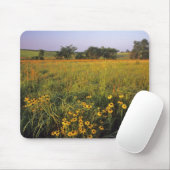 ニールの高い草原の黒い目のスーサン マウスパッド (マウス)