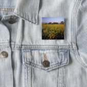 ニールの高い草原の黒い目のスーサン 缶バッジ (インサイチュ)