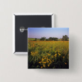 ニールの高い草原の黒い目のスーサン 缶バッジ (正面&裏面)