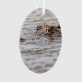 ニールワニ オーナメント (正面)