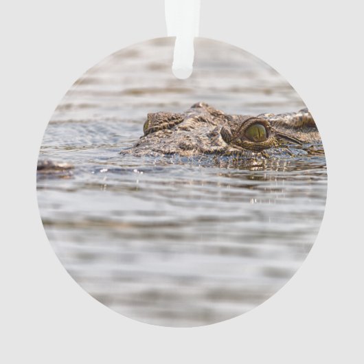 ニールワニ オーナメント (裏面)