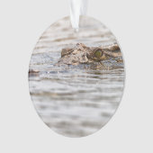 ニールワニ オーナメント (正面)