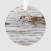 ニールワニ オーナメント (正面)