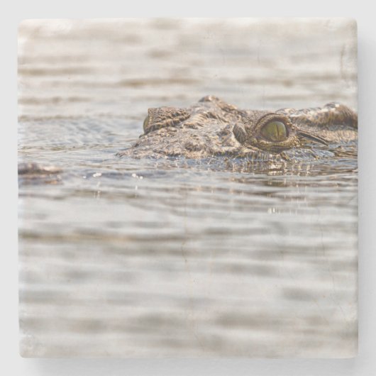 ニールワニ ストーンコースター (正面)