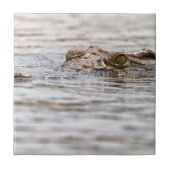 ニールワニ タイル (正面)