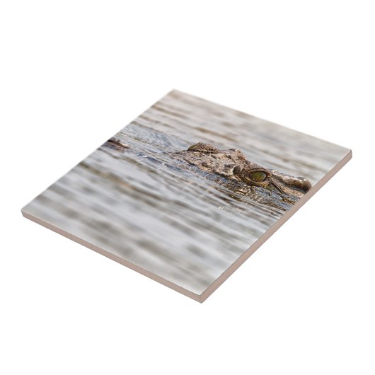 ニールワニ タイル (側面)