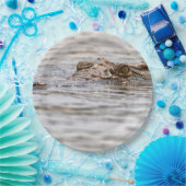 ニールワニ ペーパープレート (パーティー)