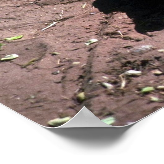 ニールワニ ポスター (角)