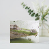 ニールワニ ポストカード (スタンド正面)