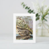 ニールワニ ポストカード (スタンド正面)