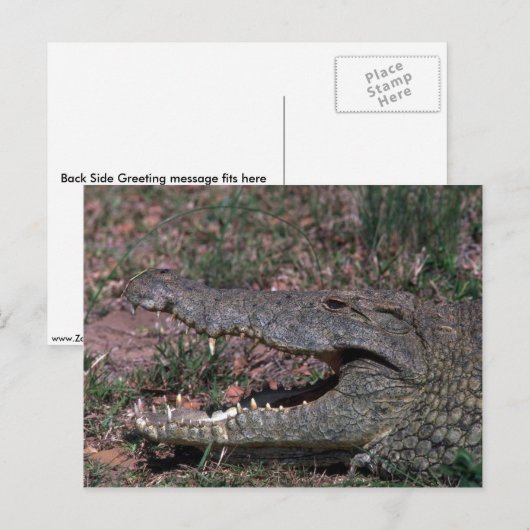 ニールワニ ポストカード (正面/裏面)