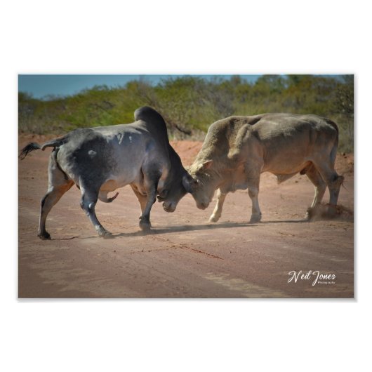 ニール・ジョーンズの写真 – King of the Road フォトプリント (正面)