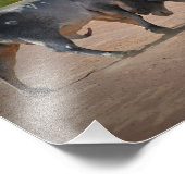 ニール・ジョーンズの写真 – King of the Road フォトプリント (角)