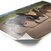 ニール・ジョーンズ写真 – キング・オブ・ザ・ロード。 フォトプリント            (角)