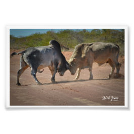 ニール・ジョーンズ写真 – キング・オブ・ザ・ロード。 フォトプリント           