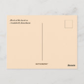 ヌアクショット・モーリタニアのビーチでボート ポストカード (裏面)