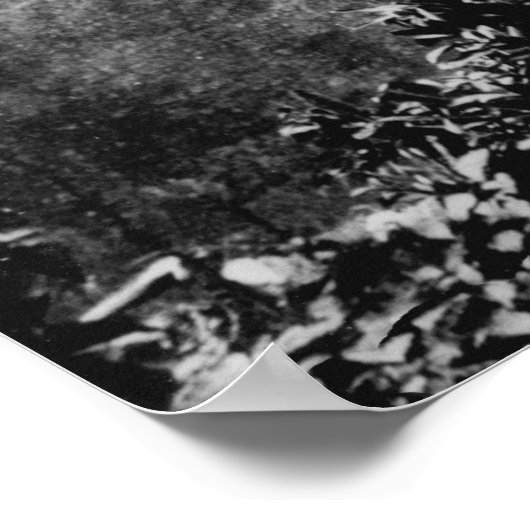 ヌアヌバレー，ハワイ – 上下反転秋 ポスター (角)