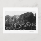 ヌアヌバレー,ハワイ – 上下反転秋 ポストカード (正面)