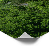 ヌクワンシュタイン城ババリア ポスター (角)