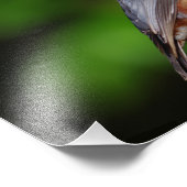 ヌサッチフォトプリント フォトプリント            (角)