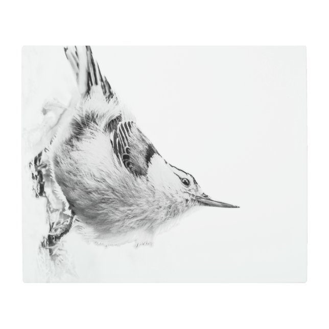 ヌサッチ高鍵鳥写真 メタルプリント (正面)