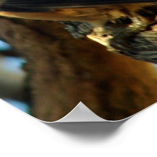 ヌサッチ10/28/07 ポスター (角)