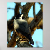 ヌサッチ10/28/07 ポスター (正面)