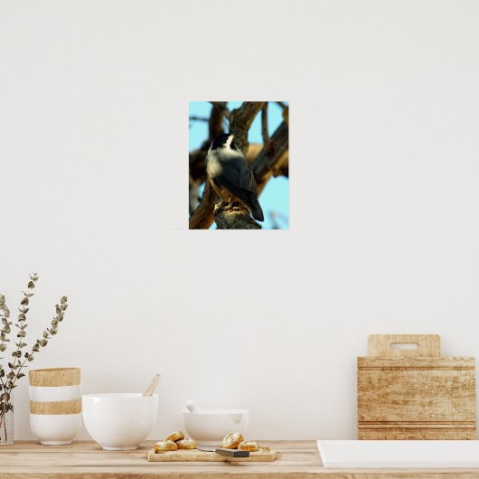 ヌサッチ10/28/07 ポスター (キッチン)