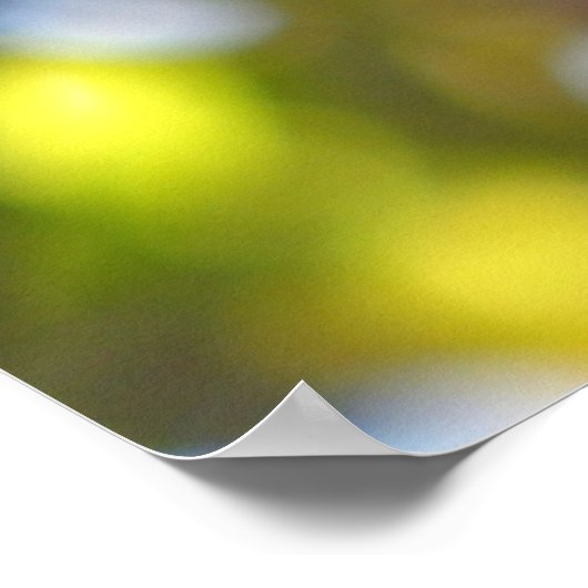 ヌサッチ ポスター (角)