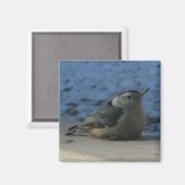 ヌサッチ マグネット (正面/裏面)