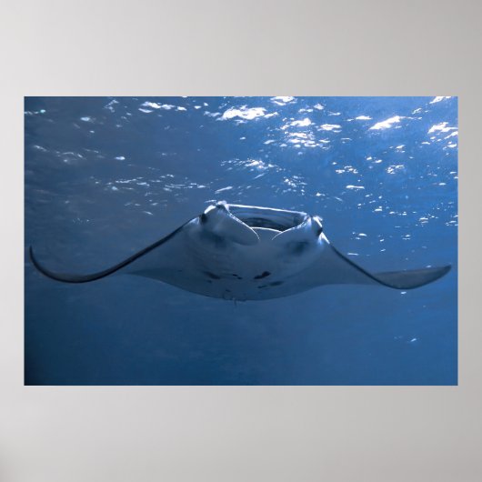 ヌサペニダマンタ ポスター (正面)