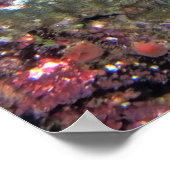 ヌサレンボンガンライオンフィッシュ ポスター (角)