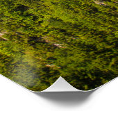 ヌシュヴァンシュタイン城，ドイツのバイエルン ポスター (コーナー)