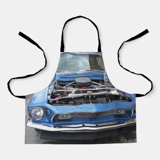 ヌスタンシェルビーアンティーク エプロン (正面)