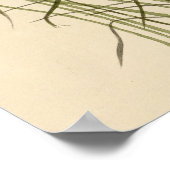 ヌットルズレッサーマーシュウォレン ポスター (角)