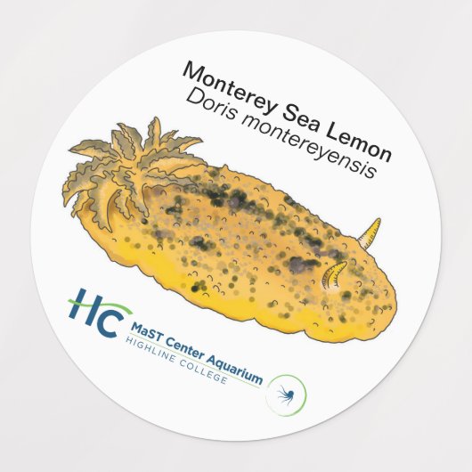 ヌディステッカー#2 ラベル (デザイン1)