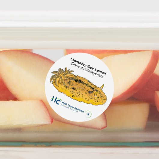 ヌディステッカー#2 ラベル (貼付)