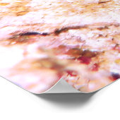 ヌディブランチ ポスター (角)