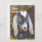 ヌビかわいらしアンヤギ写真誕生日 招待状 (正面)