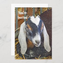 ヌビかわいらしアンヤギ写真誕生日 招待状