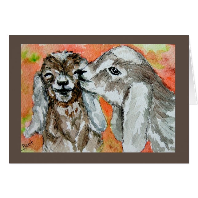 ヌビアンヤギ仲間 (正面横)