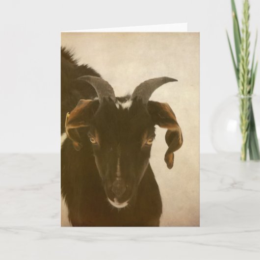 ヌビア カード (正面)