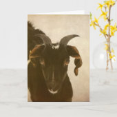 ヌビア カード (黄色い花)