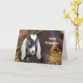 ヌビヤかわいらしギ写真悔やみや弔慰 カード (黄色い花)